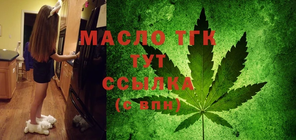 гашик Инсар