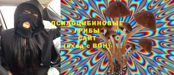 гашик Инсар