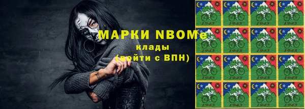 гашик Инсар