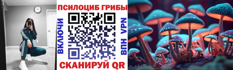 Купить где  Минеральные Воды  Псилоцибиновые грибы MAGIC MUSHROOMS 